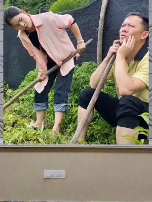 娱乐八卦 吃瓜群众